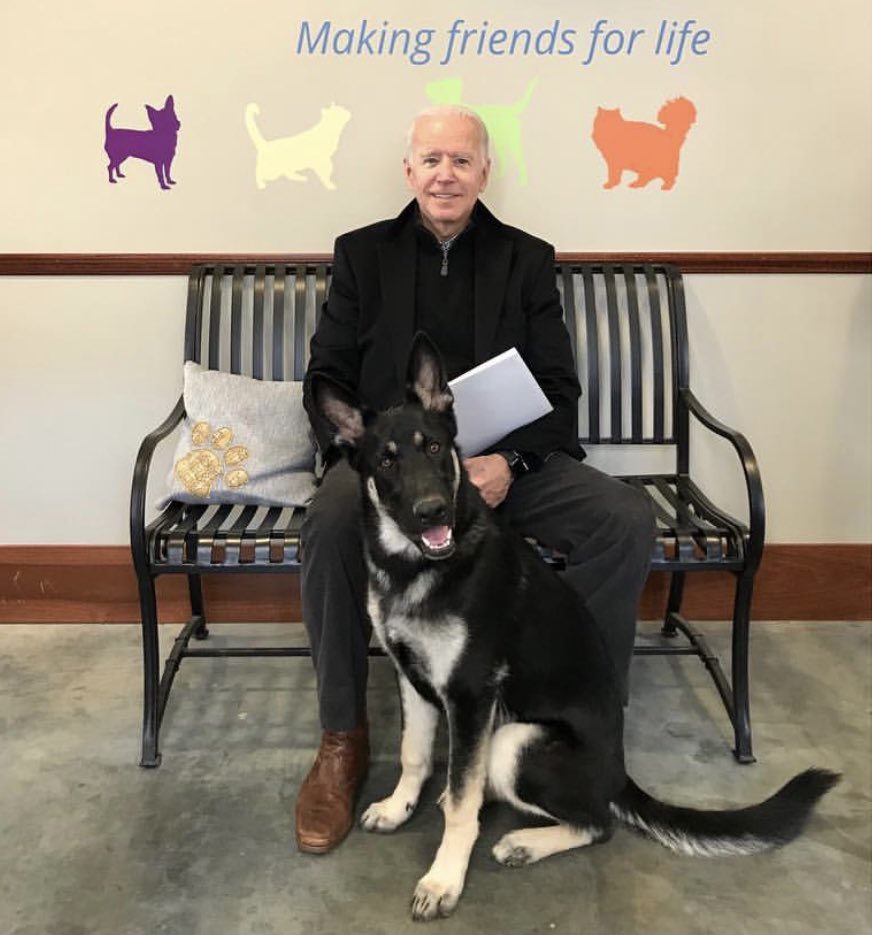 Dogs will be coming back to the White House!