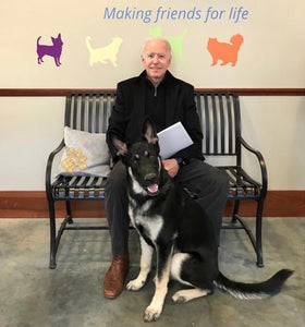 Dogs will be coming back to the White House!