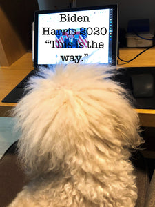 Washington Post: "Warren jokes about her dog voting Democrat."