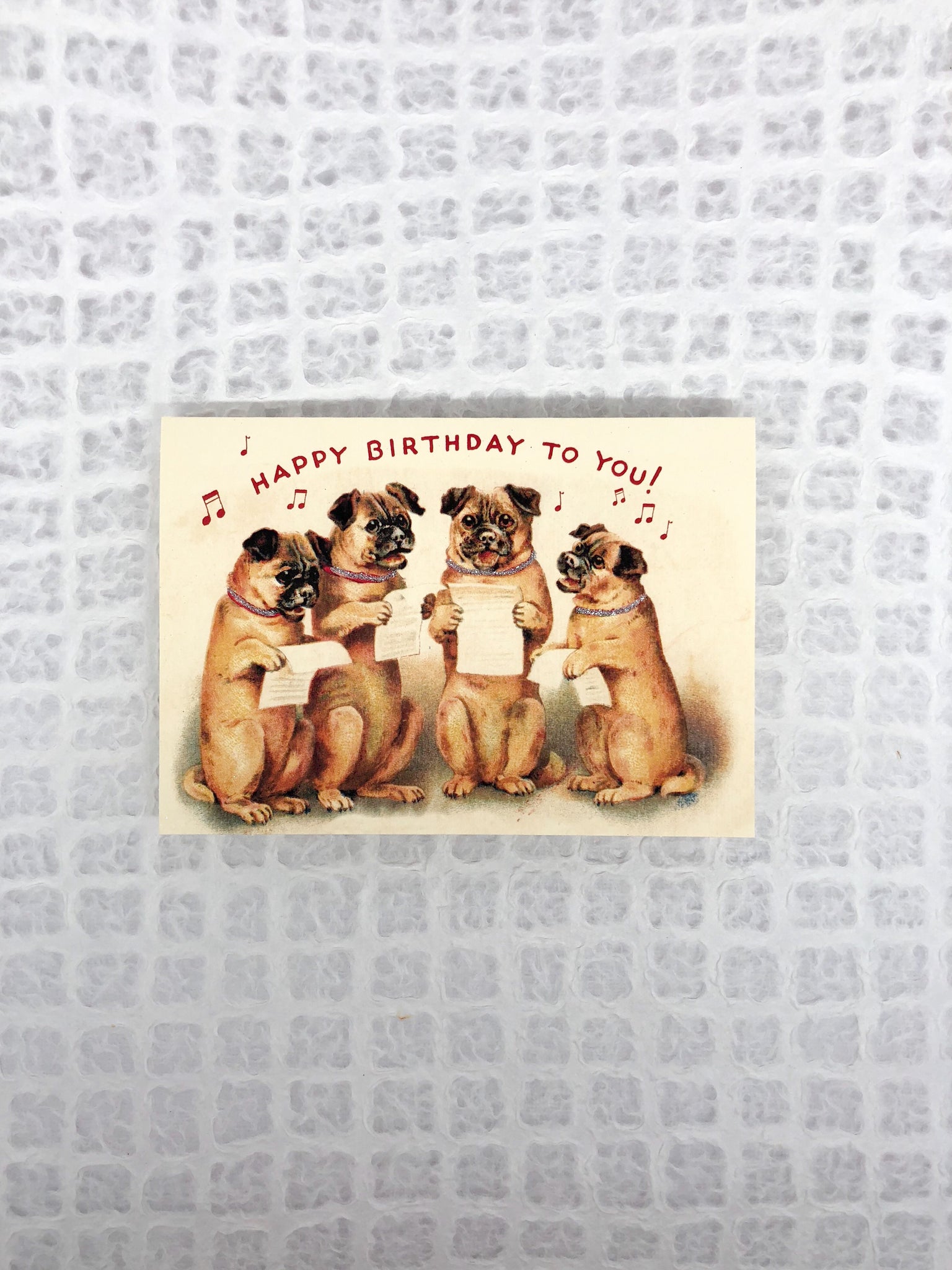 Puggle Puppers Birthday Card