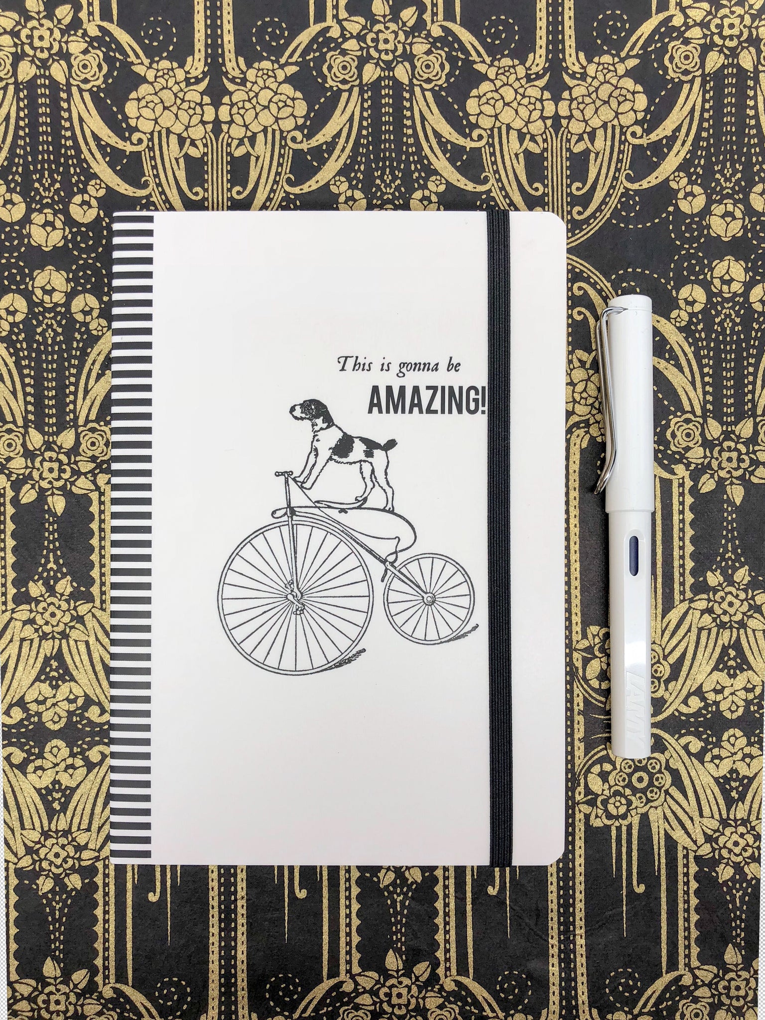 Alice Scott's "This is gonna be AMAZING!" Journal